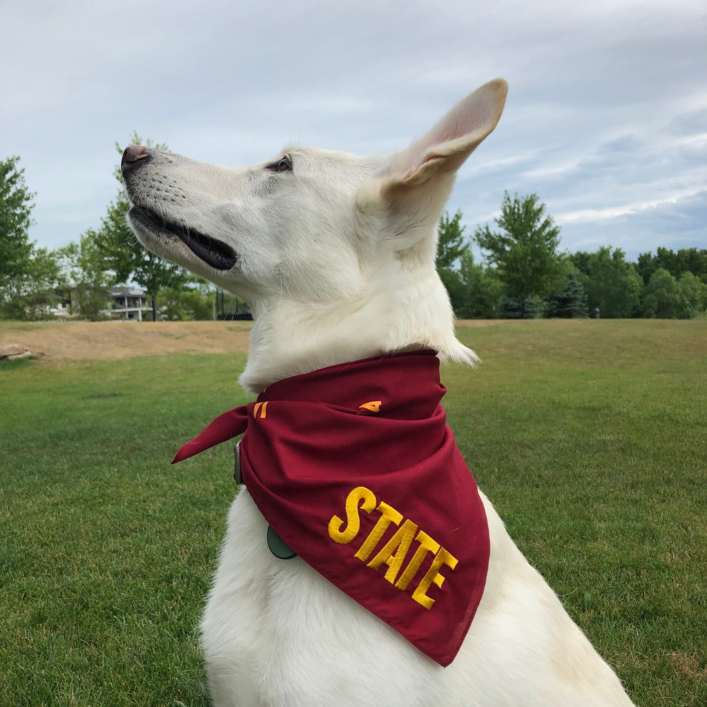 white german shepherd glancing into the distance wearing a red bandana with state embroidered in gold on corner small IA printed throughout background